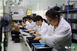 機械臂舞動新能源，龍游企業領跑網絡技術新賽道